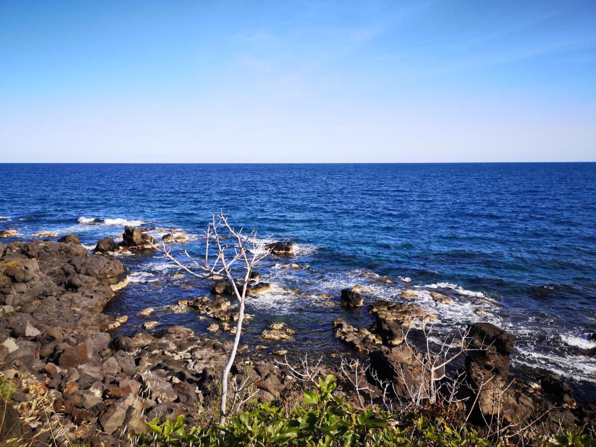 La Lampara Apartment Aci Castello Eksteriør bilde