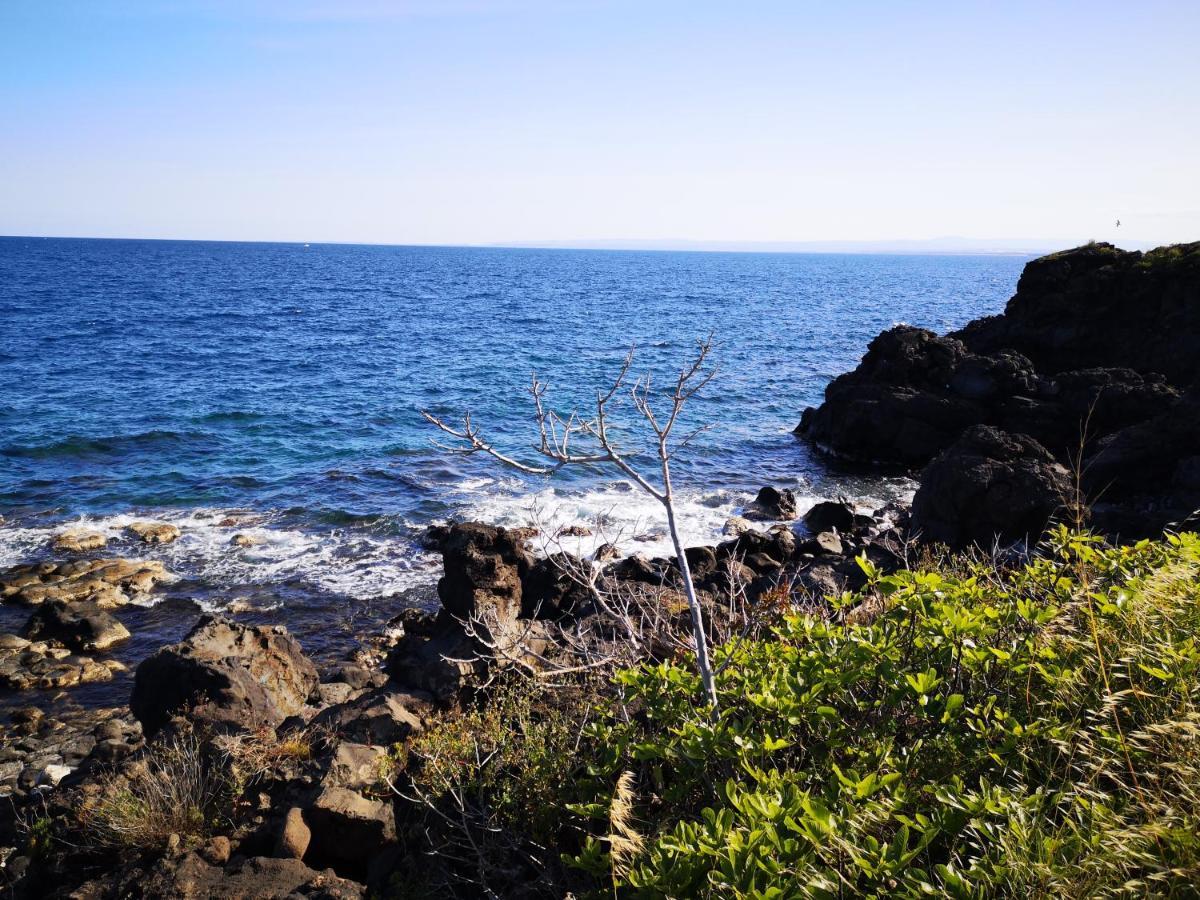 La Lampara Apartment Aci Castello Eksteriør bilde